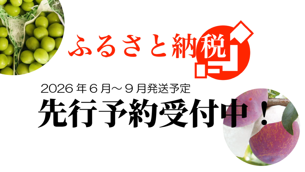 メイア農園　ふるさと納税　2026年先行予約受付中